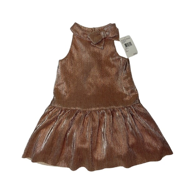 NWT Zunie Little Girl Metallic Blush Pink Sleeveless Dress Size 2 - Picture 5 of 5